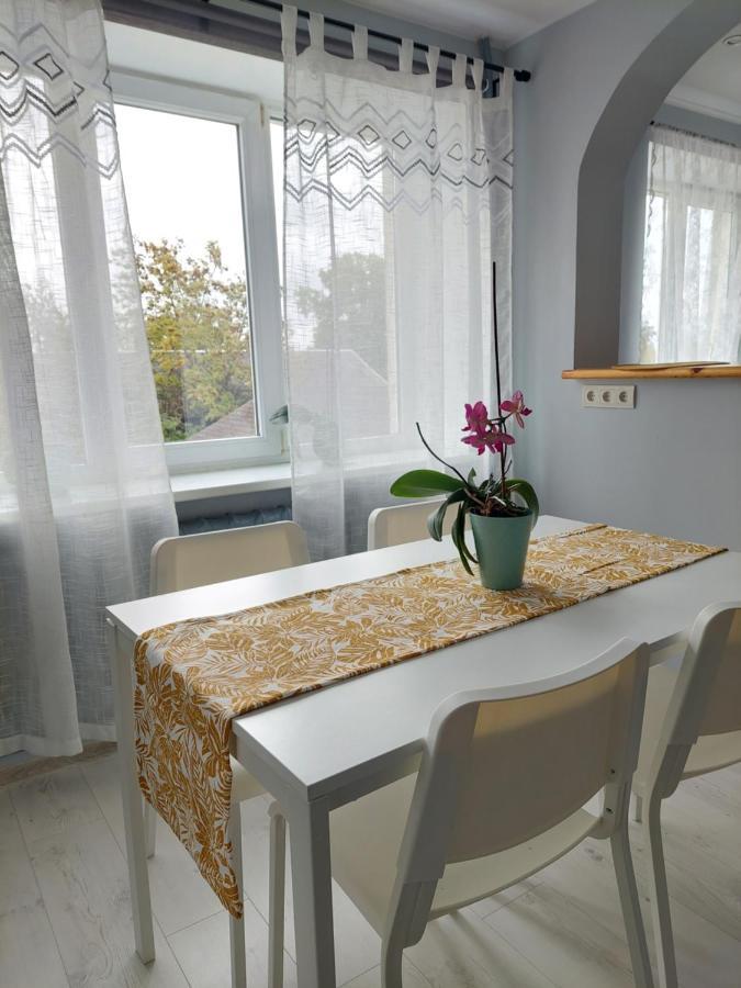 Pigeon Kuldīga